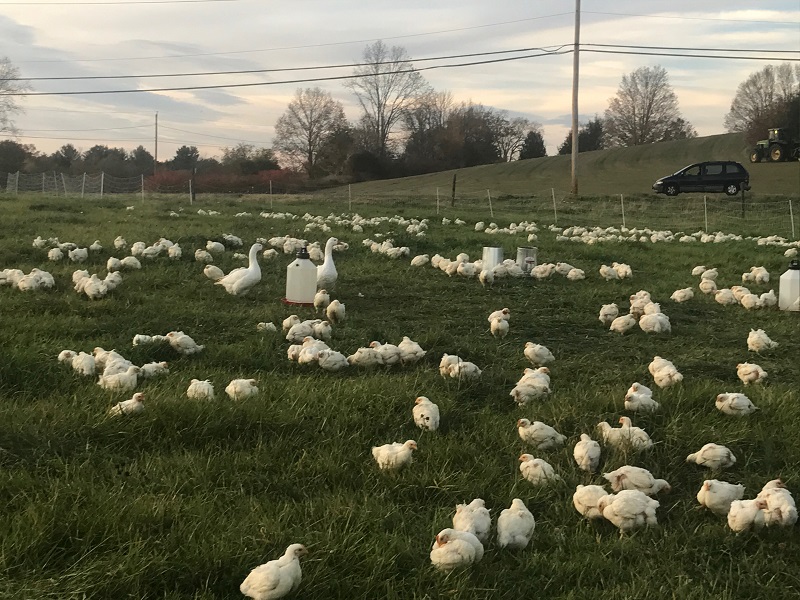 Фермерский кооператив